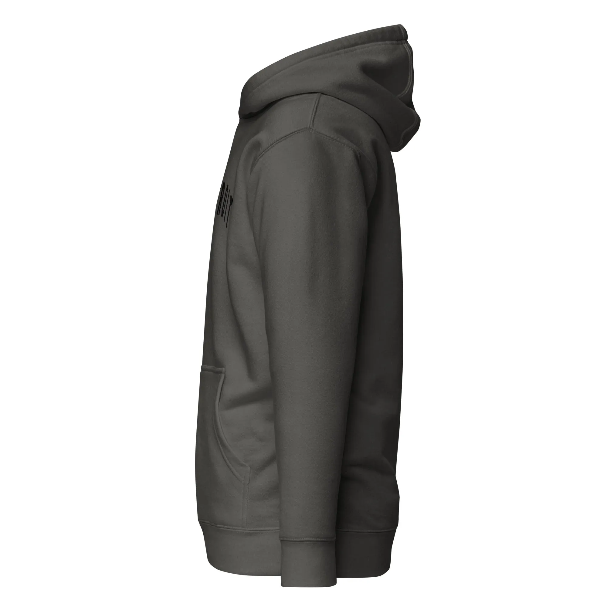 Detroit Classic Premium Pullover Unisex Hoodie - Vintage Black / Black