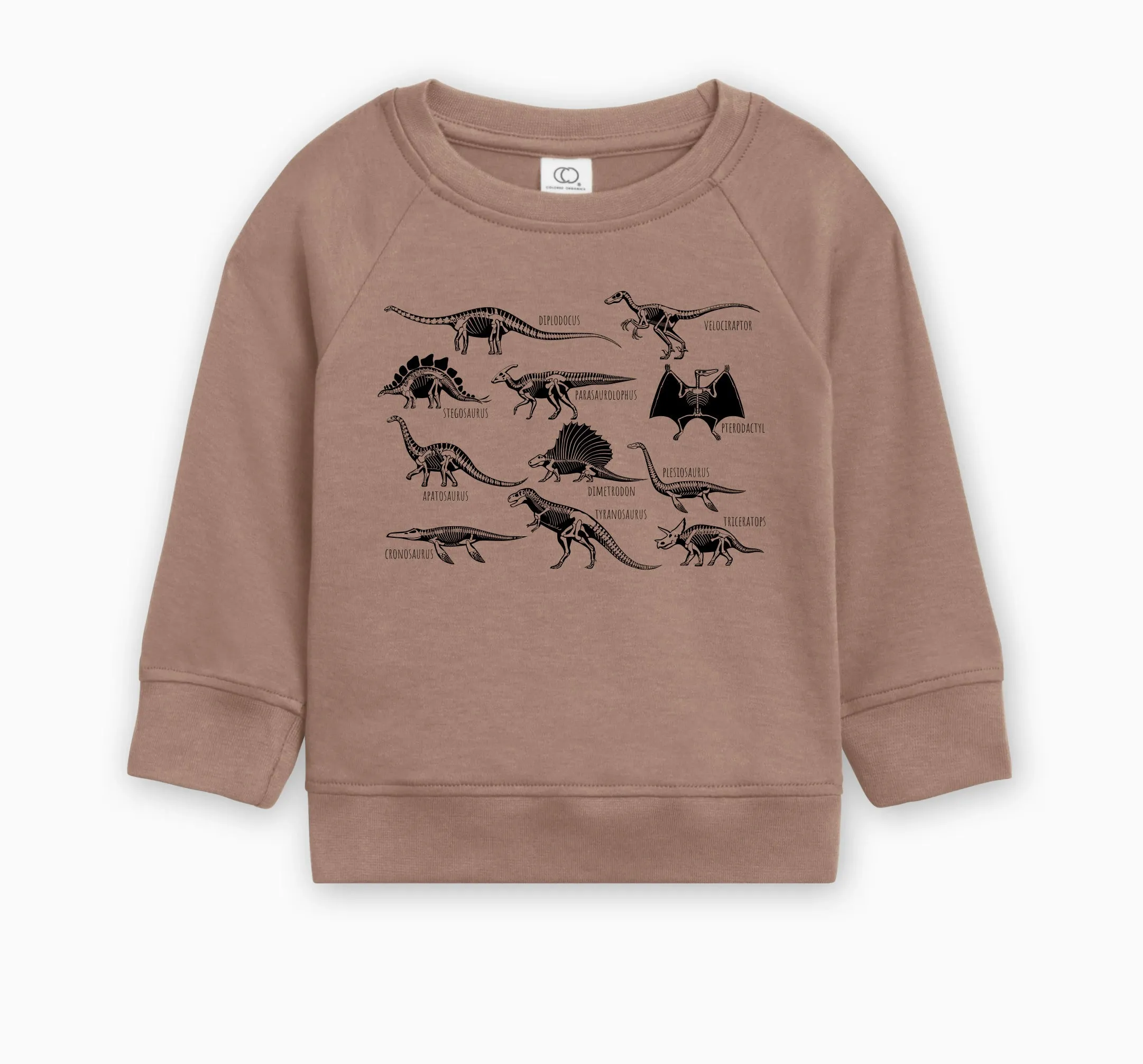 Dinosaur Skulls Organic Cotton Baby Toddler Pullover