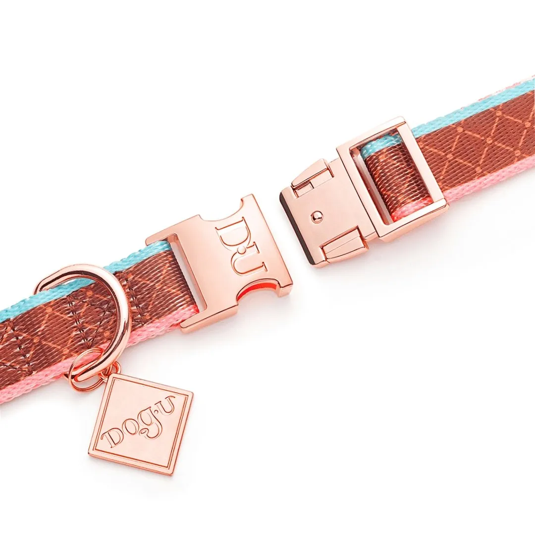 Dog Collar | Paris