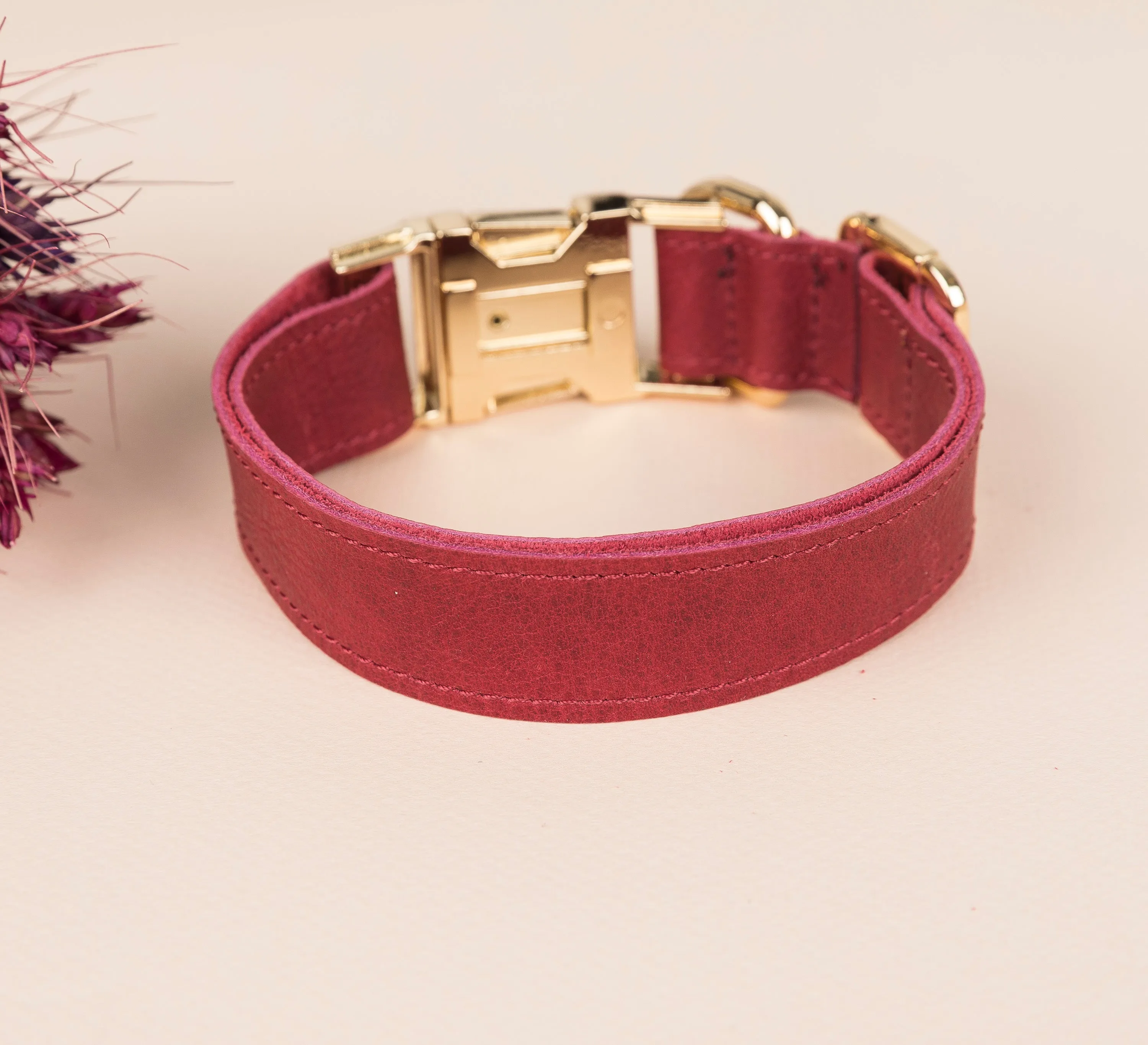 Genuine Leather Adjustable Strong Dog Collar