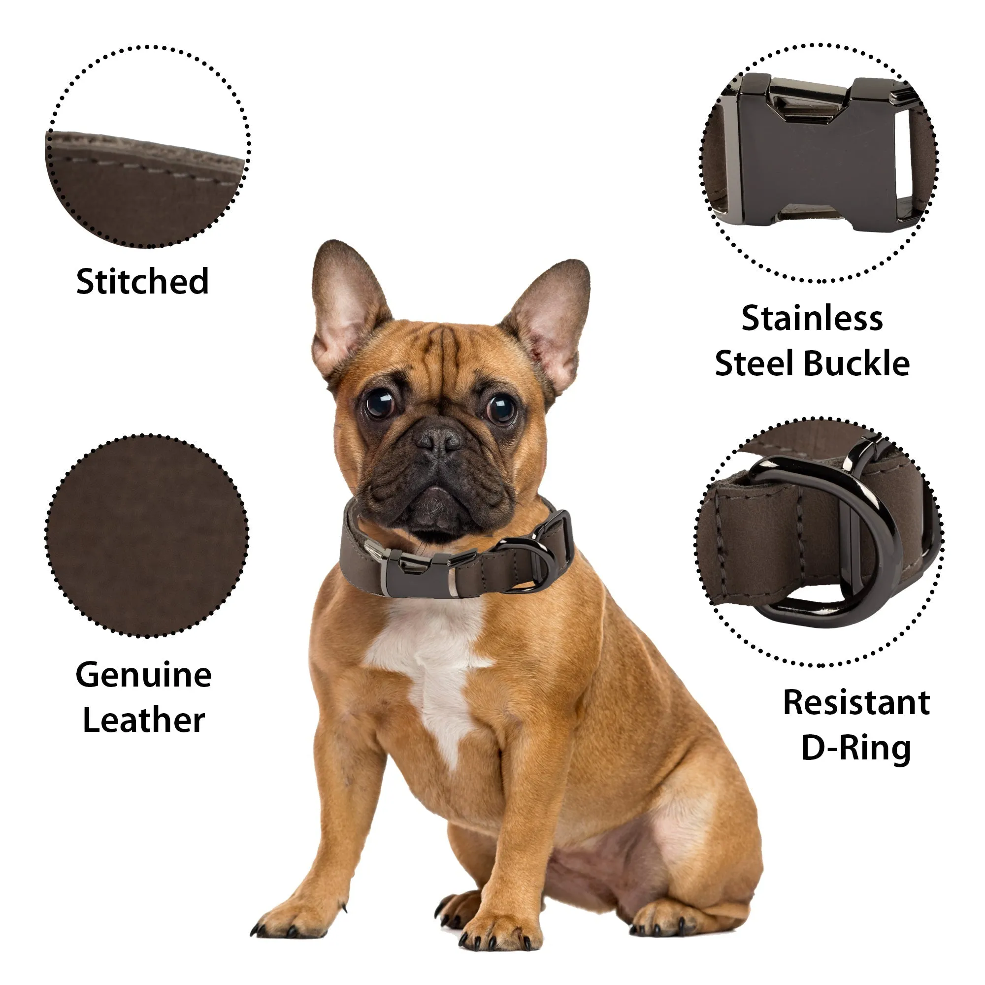 Genuine Leather Adjustable Strong Dog Collar