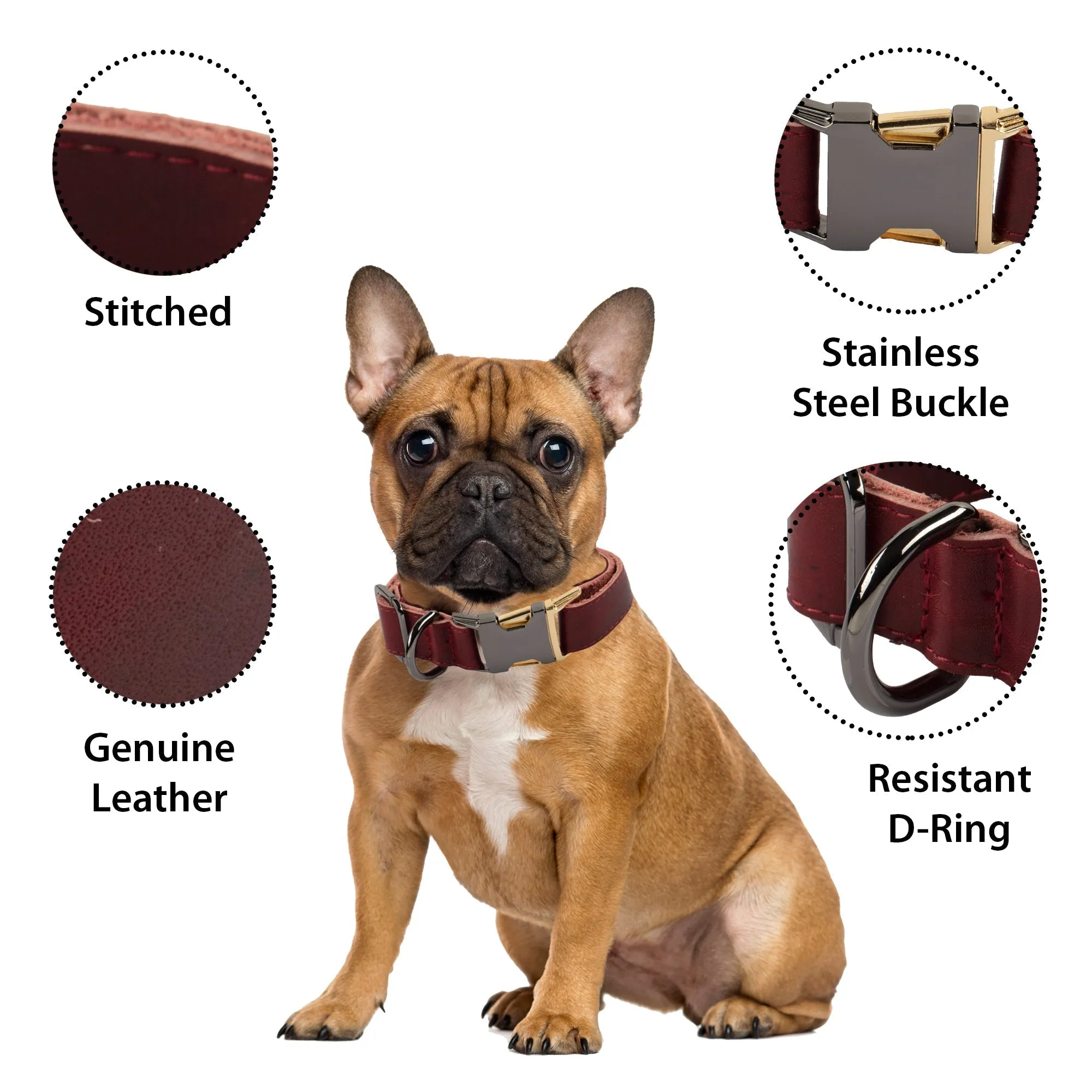 Genuine Leather Adjustable Strong Dog Collar