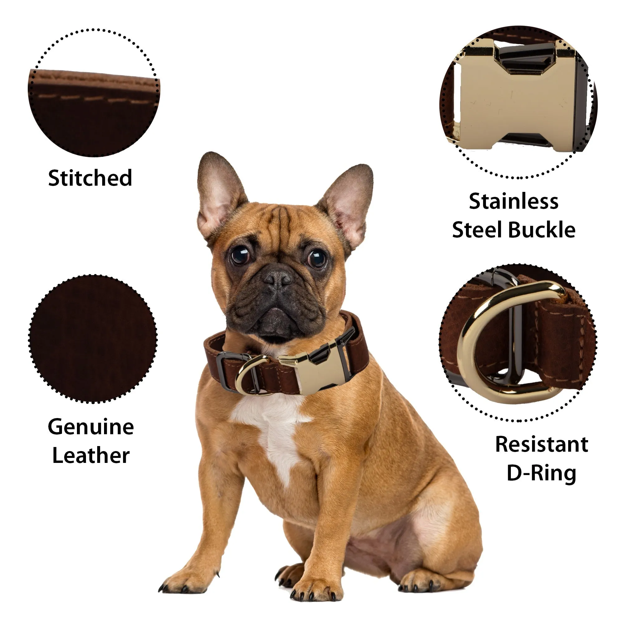 Genuine Leather Adjustable Strong Dog Collar