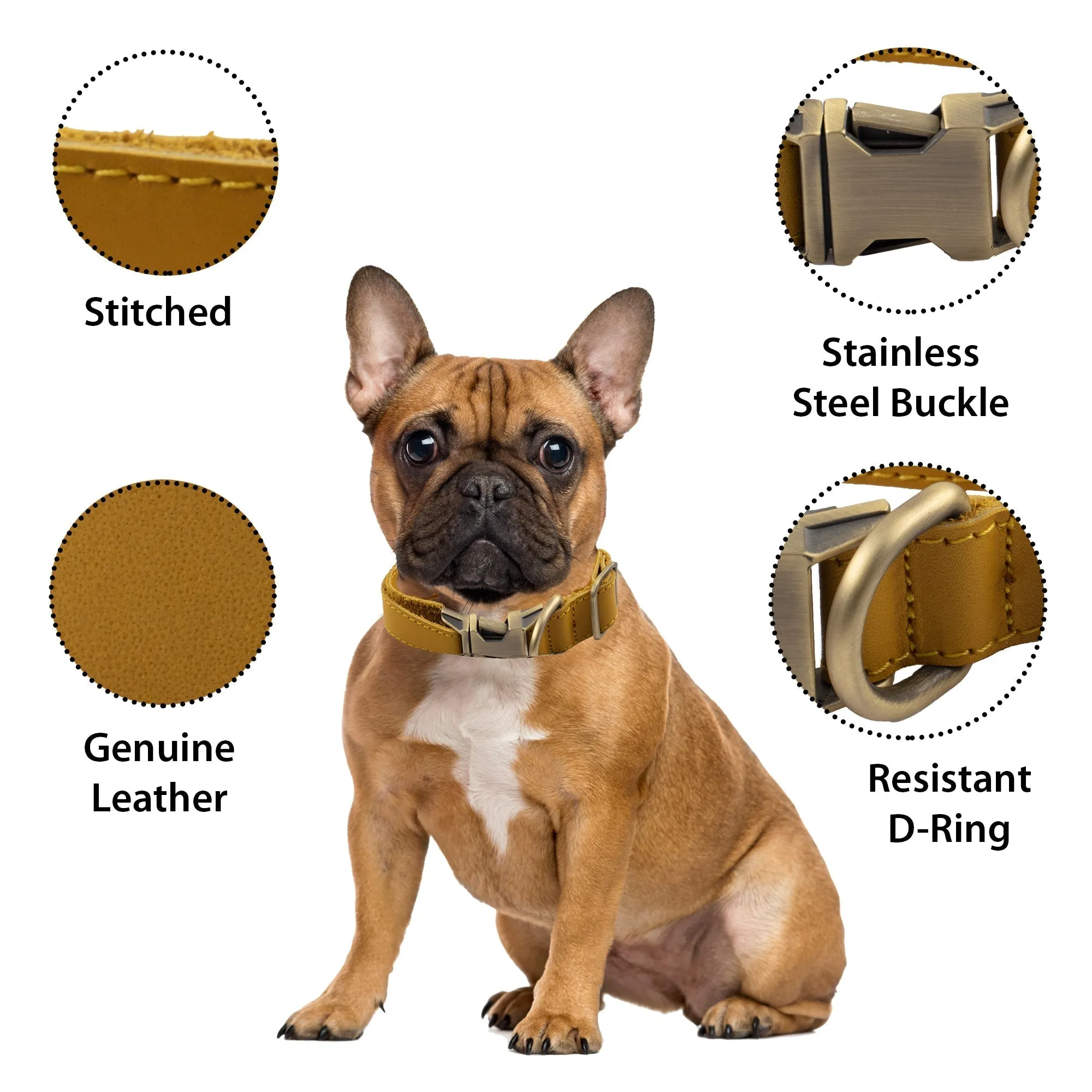 Genuine Leather Adjustable Strong Dog Collar