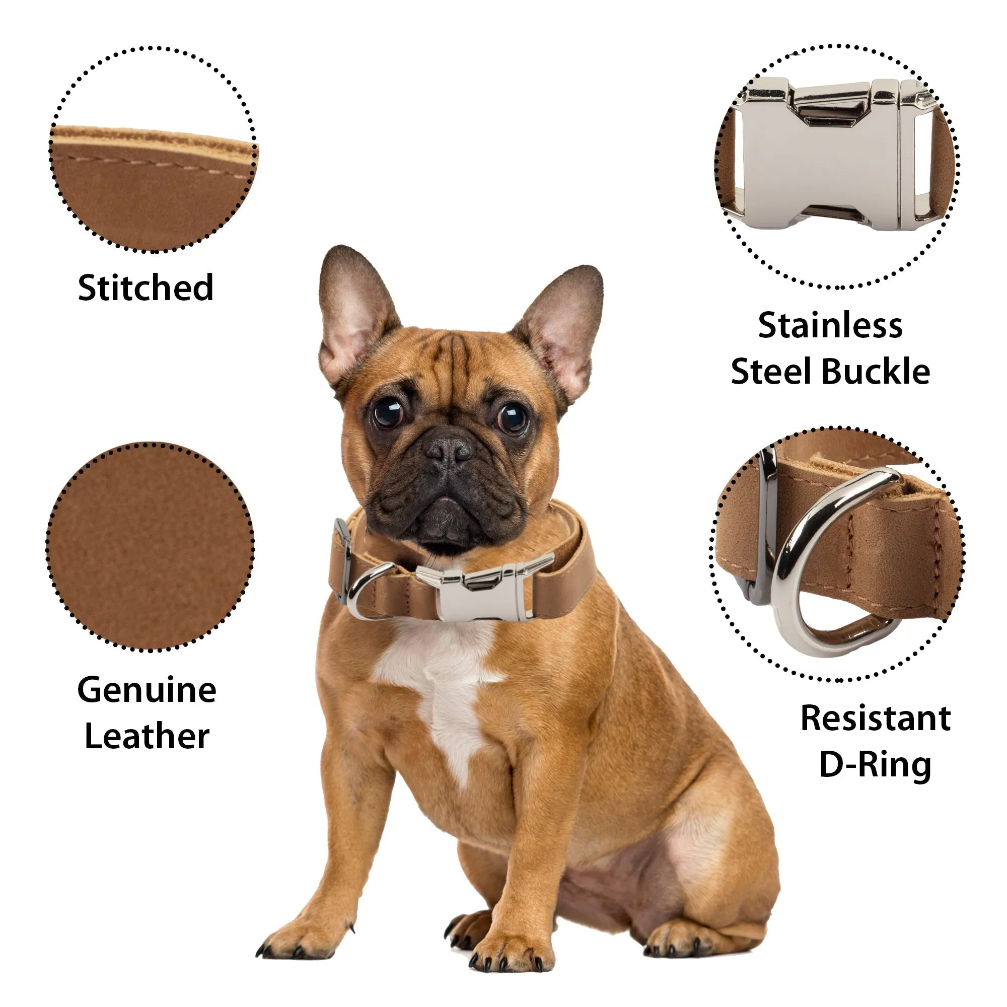 Genuine Leather Adjustable Strong Dog Collar