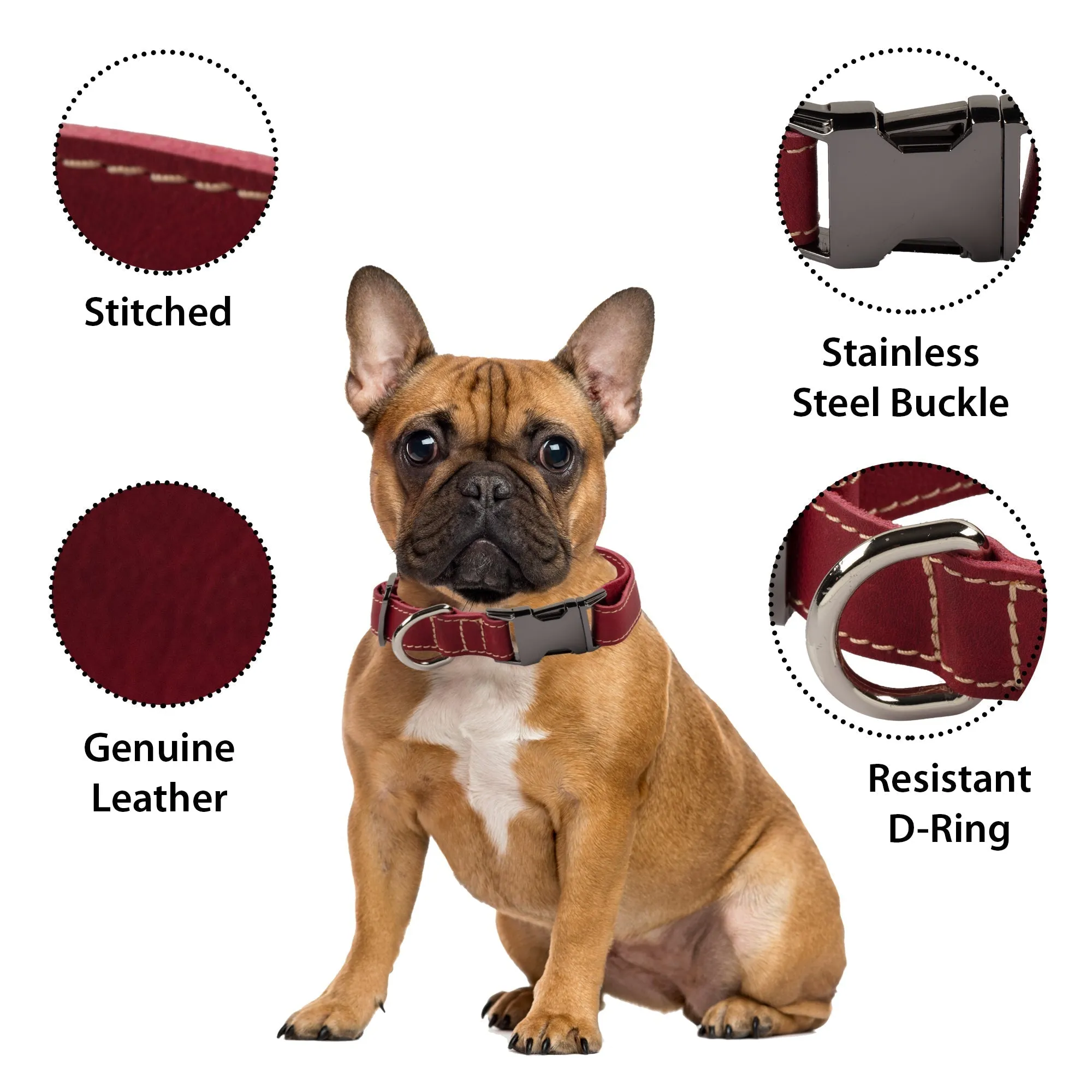 Genuine Leather Adjustable Strong Dog Collar
