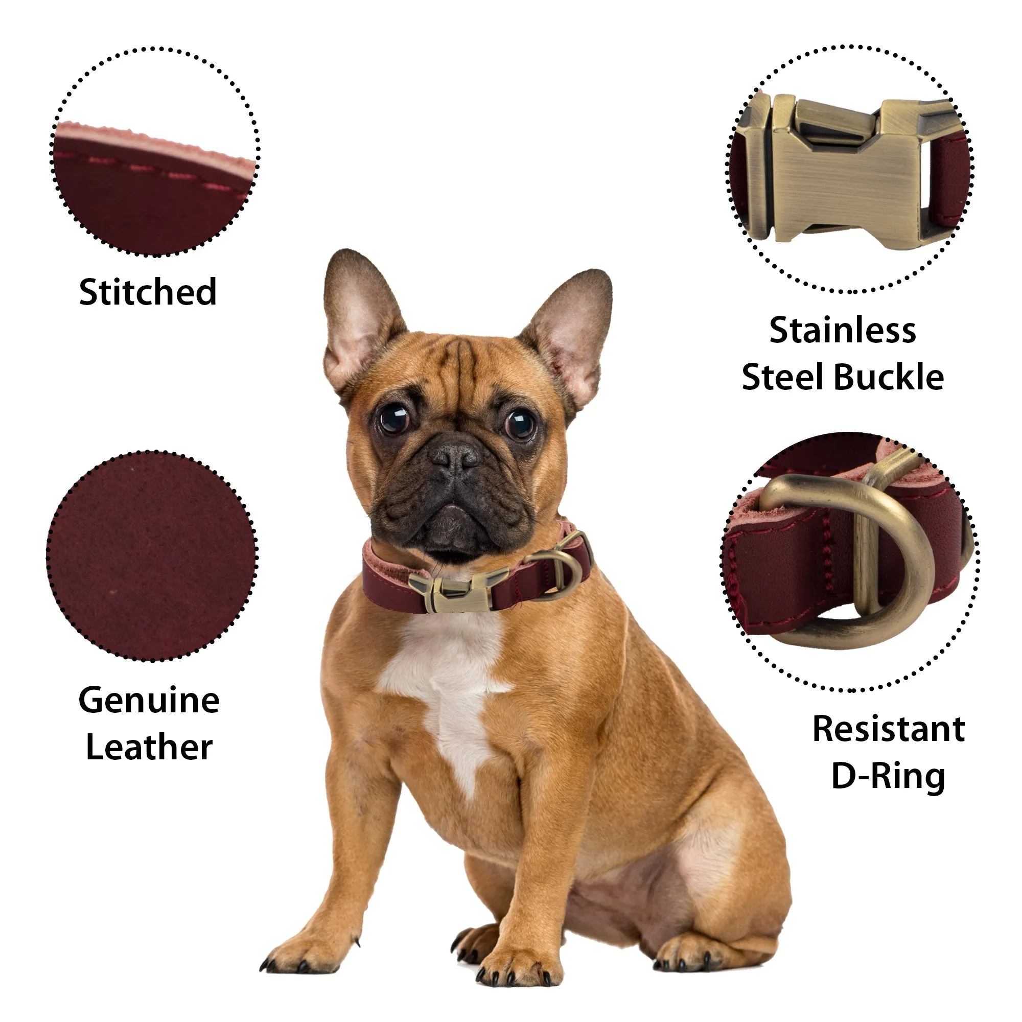 Genuine Leather Adjustable Strong Dog Collar