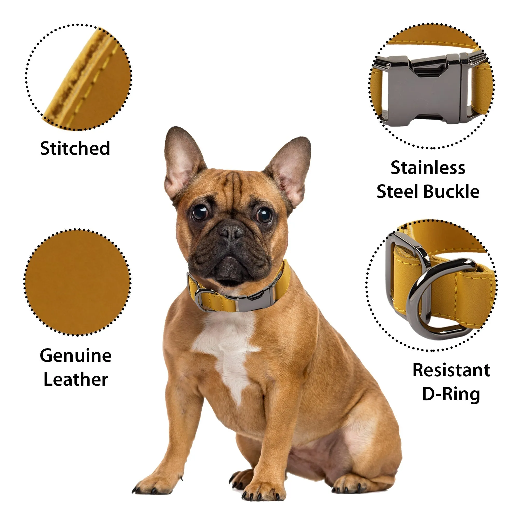 Genuine Leather Adjustable Strong Dog Collar