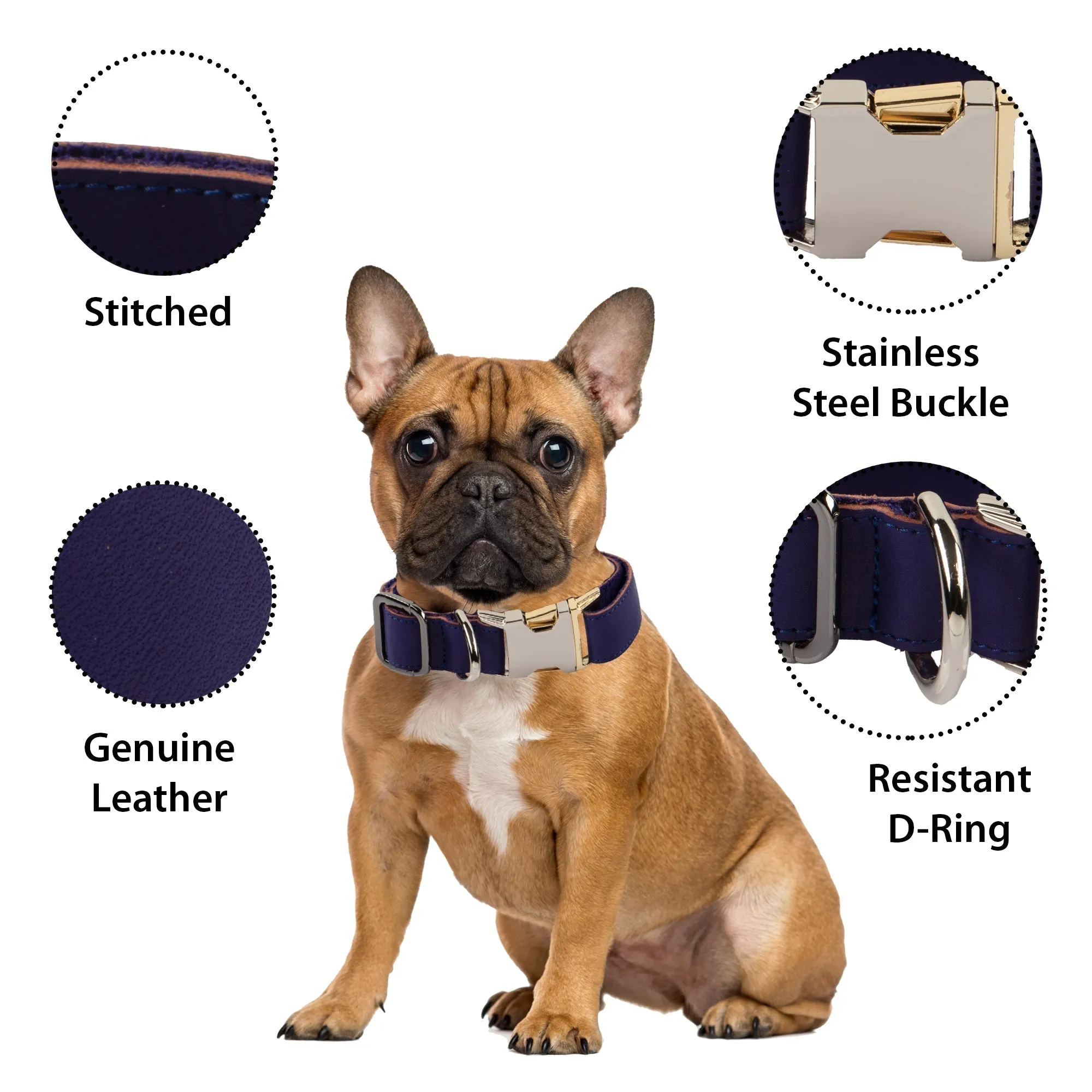 Genuine Leather Adjustable Strong Dog Collar