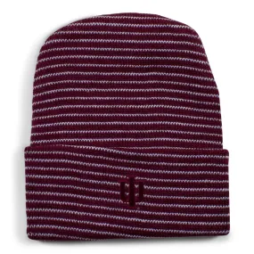 Indiana Stripe Knit Cap