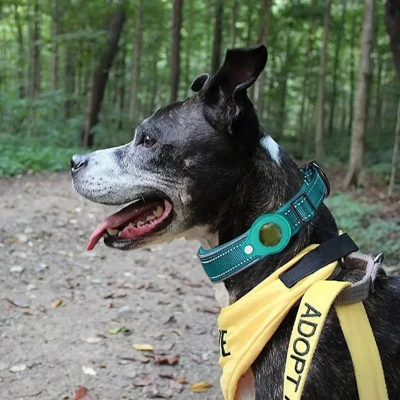 Waterproof Anti-Lost Dog Collar